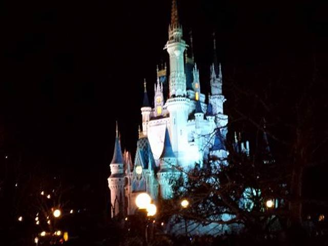 Night time at Walt Disney World